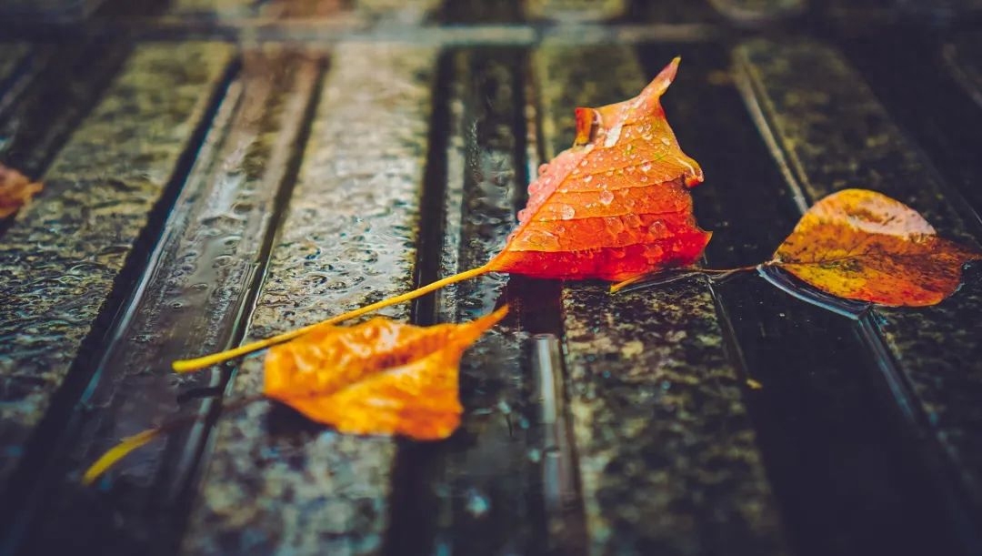 下雨经典古诗大全（下雨古诗的著名诗句）