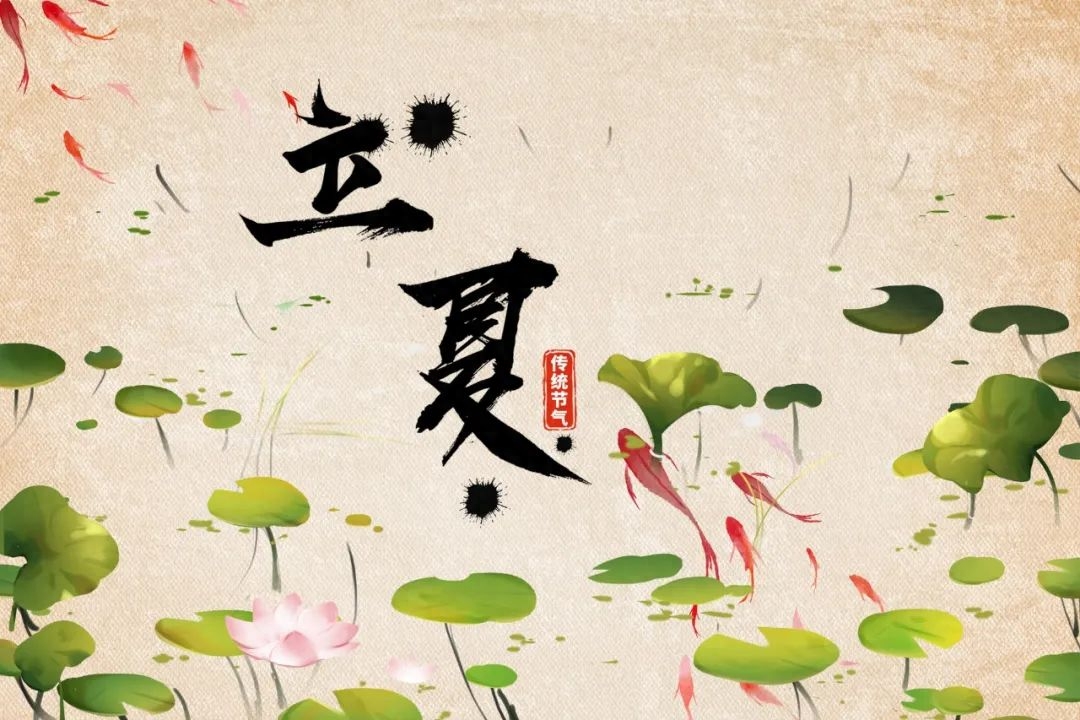 经典的夏日诗词赏析（风暖人间草木香，绿树阴浓夏日长）