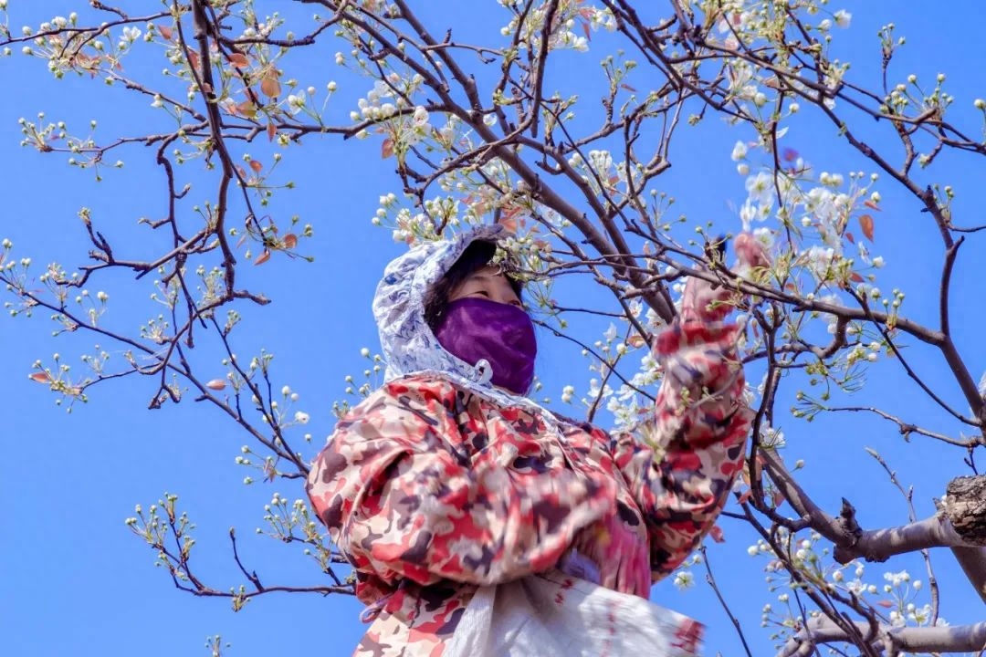 劳动是修行，悠闲是境界（6首优美劳动诗词）