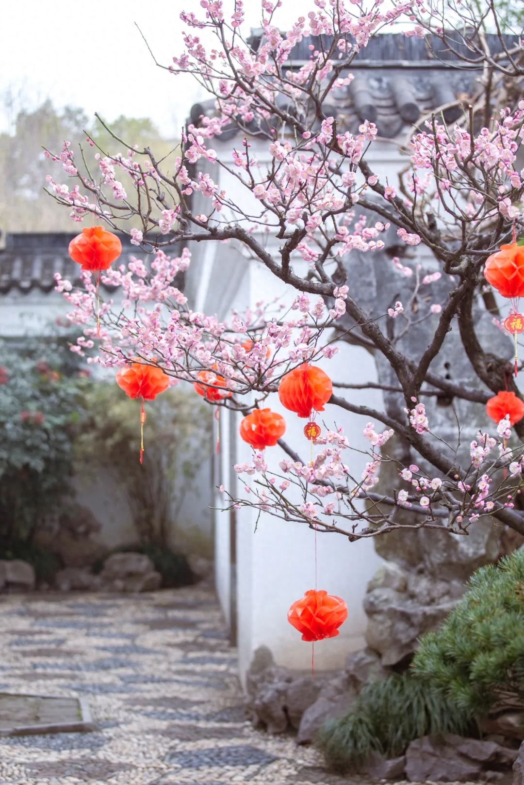 春天经典诗词大全（半是温柔半是风，一生从容一生花）