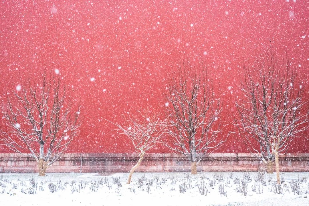 写雪唯美古诗有哪些（10首写雪的诗词）