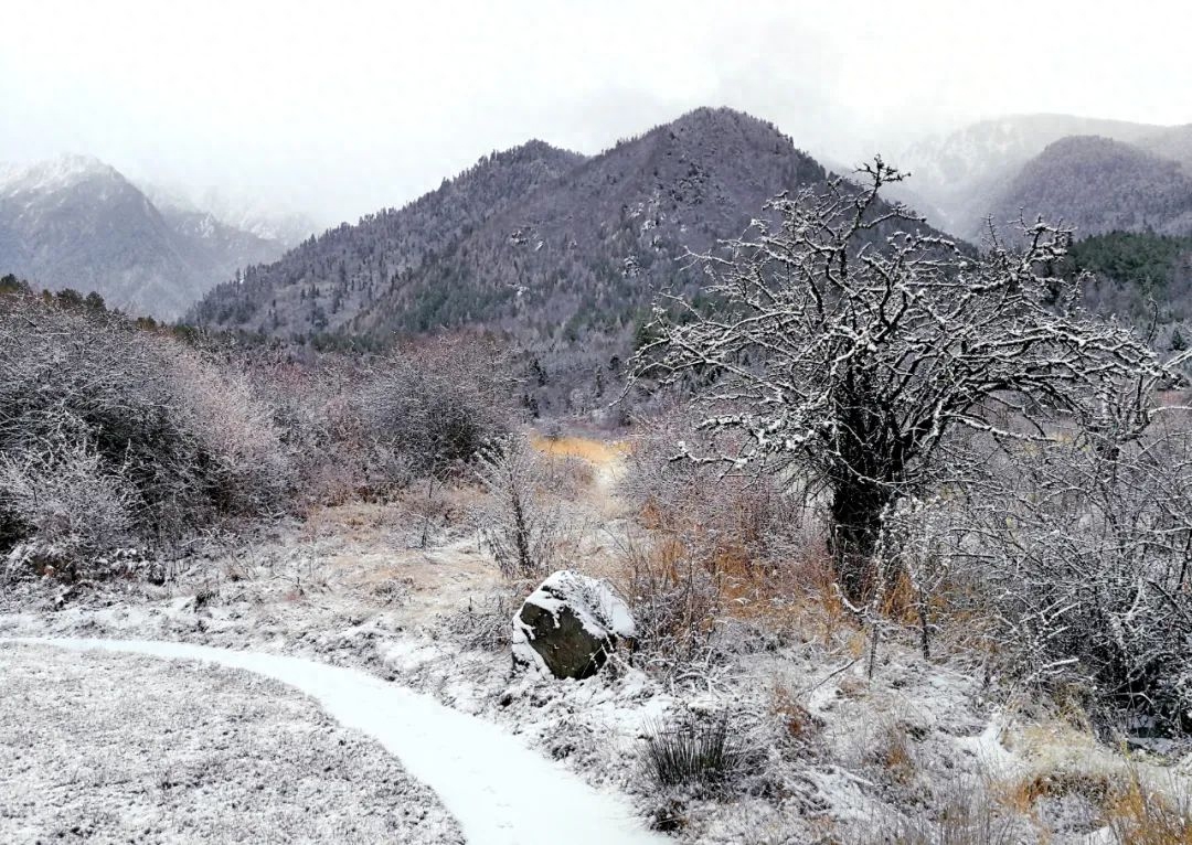 冬天下雪唯美古诗句（适合下雪天发朋友圈的诗句）