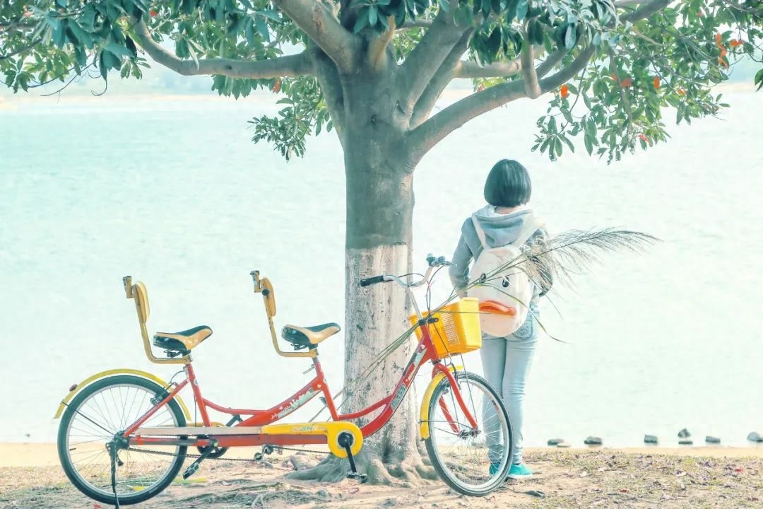 浪漫唯美且励志的诗句（转眼又是一年，转瞬就是一生）