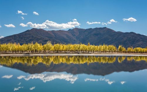 关于乡村的写景作文（《城市的写景》）