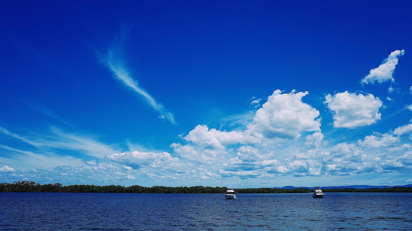 夏日即景的优秀作文（《夏日的风景》）