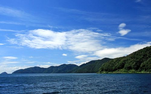 夏日的清晨优秀作文（《夏日的美景》）