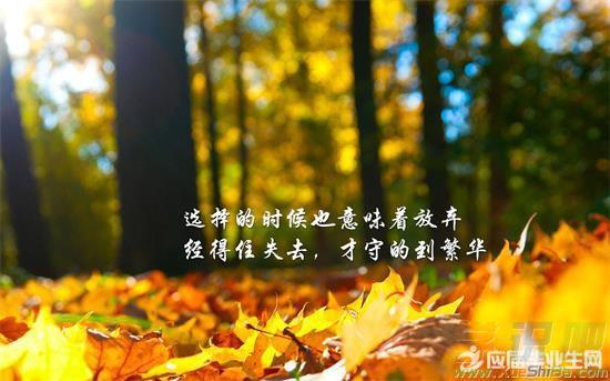 关于坚强不息的句子（一路走来，坚强不息）