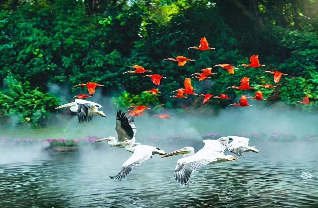 荷风送香气，竹露滴清响（首优美初夏古诗词）