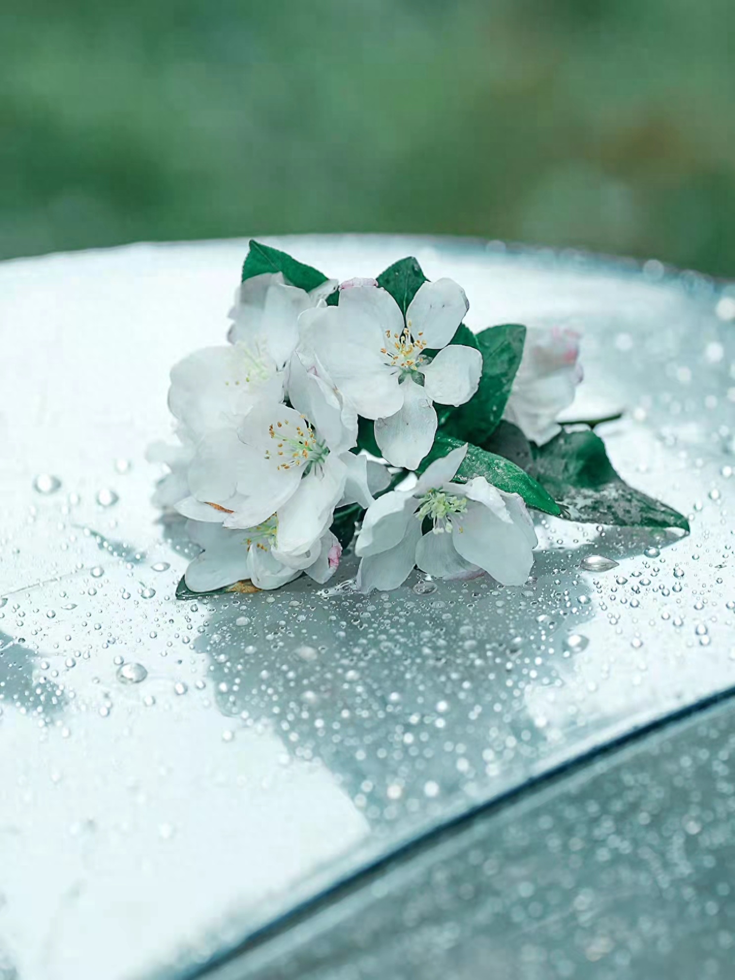 写雨经典诗词有哪些（2首写雨的古诗词）