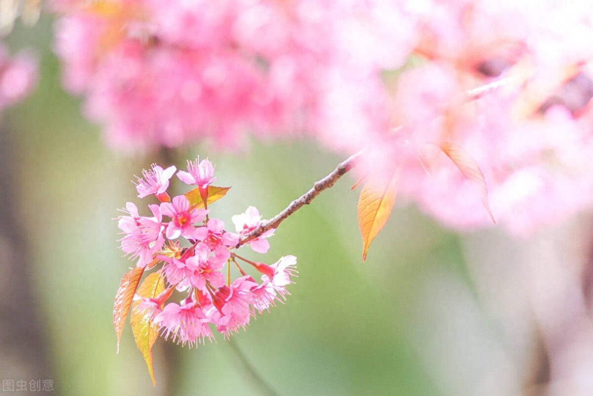 烟花三月，孤帆远影（精选6首春日送别诗词）