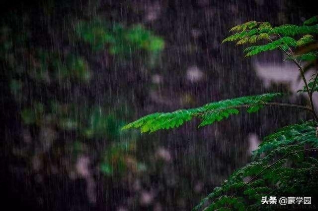 春雨经典诗词有哪些（陆游43首春雨古诗词）