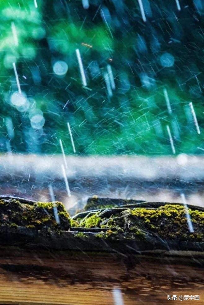 春雨经典诗词有哪些（陆游43首春雨古诗词）