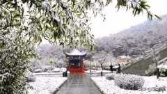 咏雪古诗词名句（9首奇特的咏雪诗）