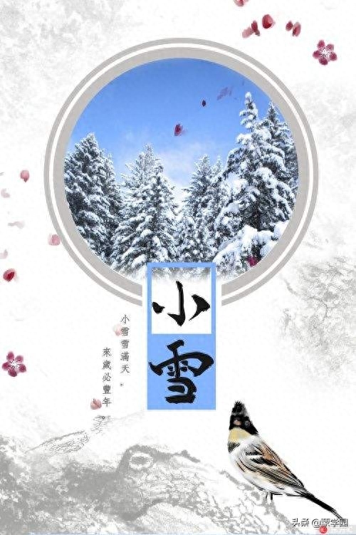 小雪诗词古句大全（小雪节气的诗句古诗）