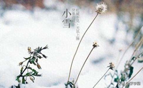 小雪诗词古句大全（小雪节气的诗句古诗）