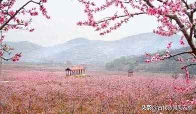 风流才子古诗句有哪些（风流才子古诗词九首）