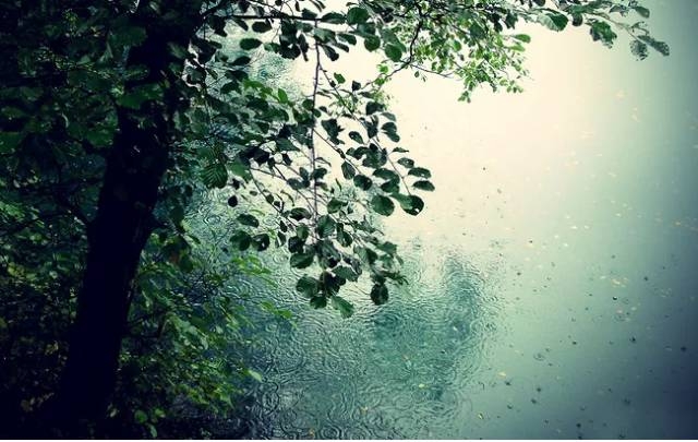 适合夏天雨后的诗句（19首古诗词赏尽夏雨）