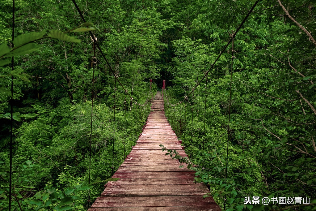 心灵诗词古句摘抄（15首直击心灵的古诗词）