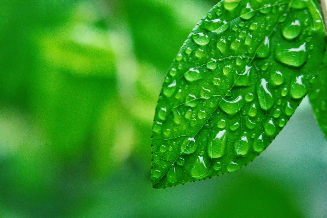 下雨诗词古句有哪些（20首微雨诗词）