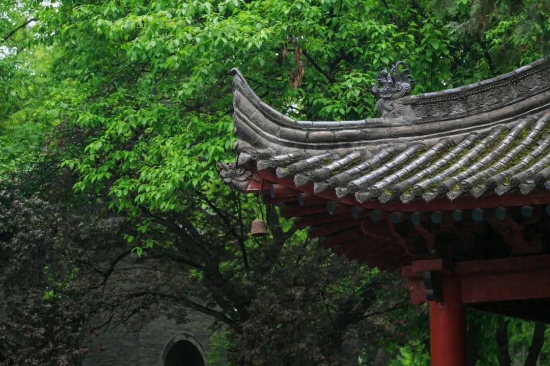 描写下雨的唯美古诗赏析（24首夏雨诗词）