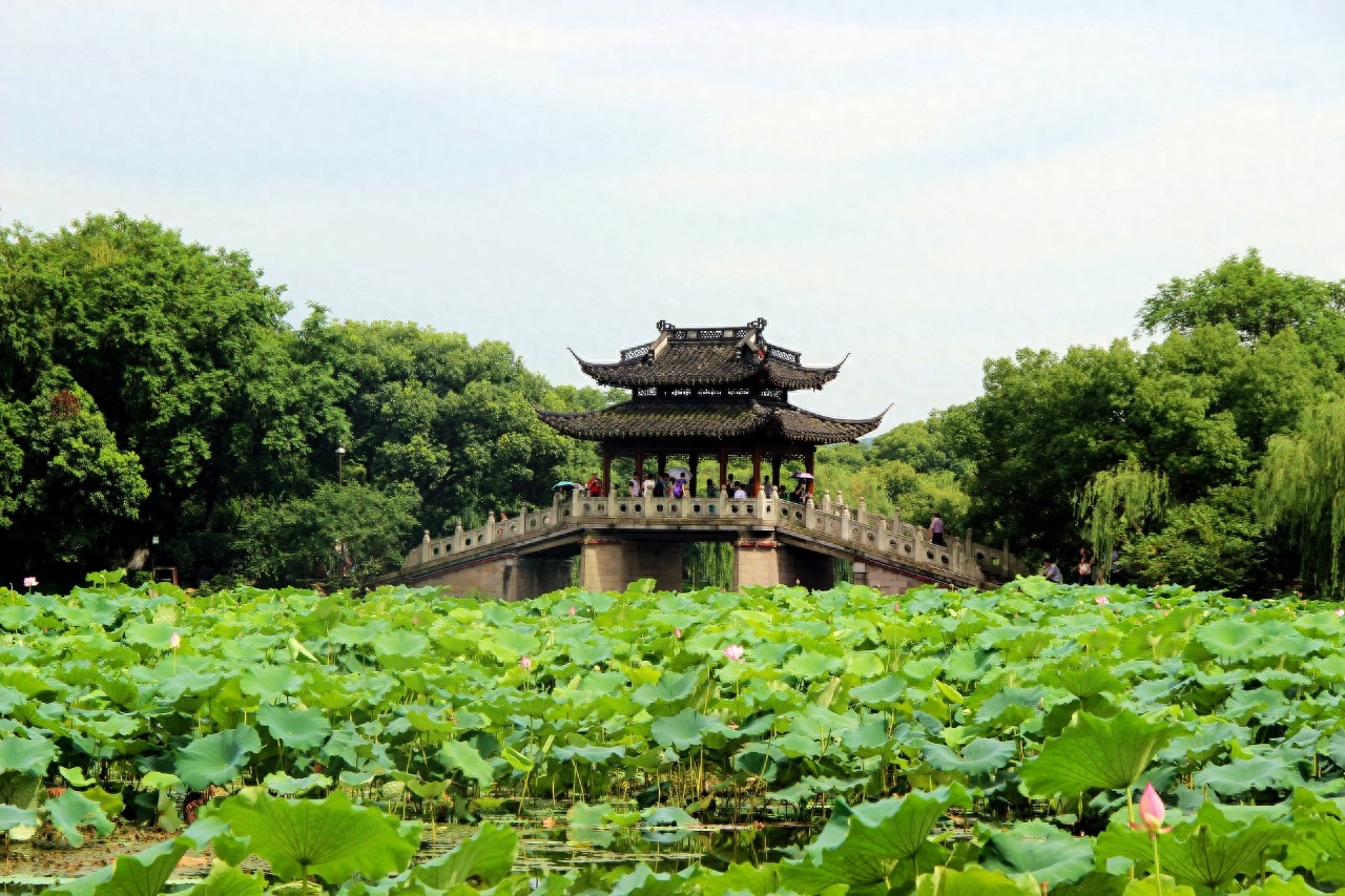 雨天诗词古句摘抄（形容下雨的古诗名句）