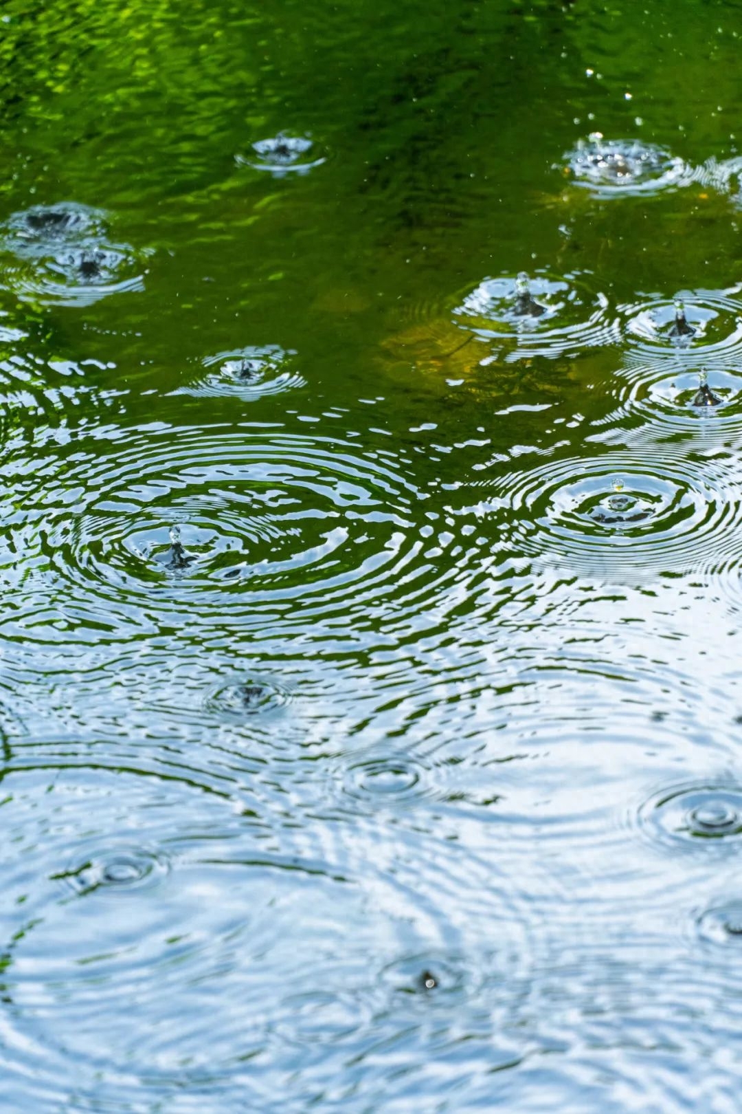 雨天诗词古句摘抄（形容下雨的古诗名句）