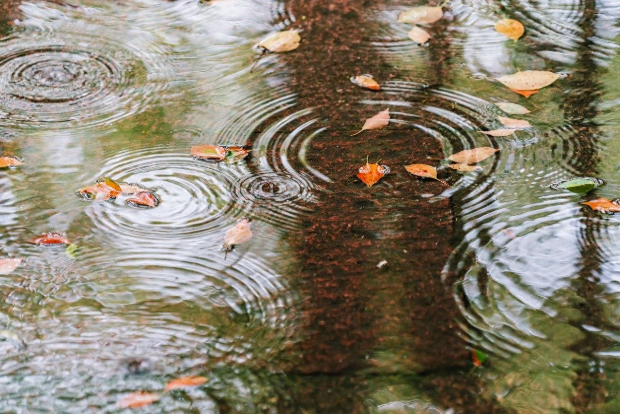 雨天诗词古句摘抄（形容下雨的古诗名句）