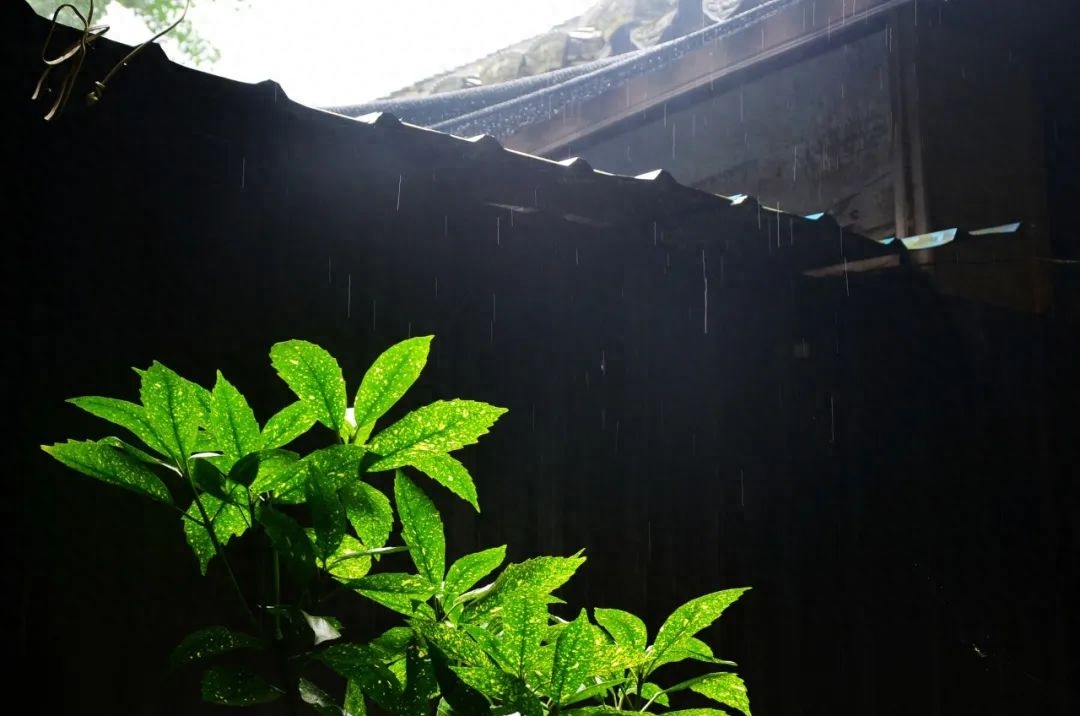 雨天诗词古句摘抄（形容下雨的古诗名句）