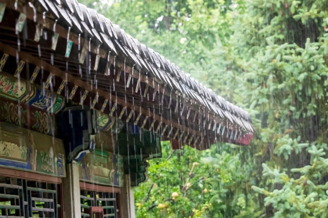 雨天诗词古句摘抄（形容下雨的古诗名句）