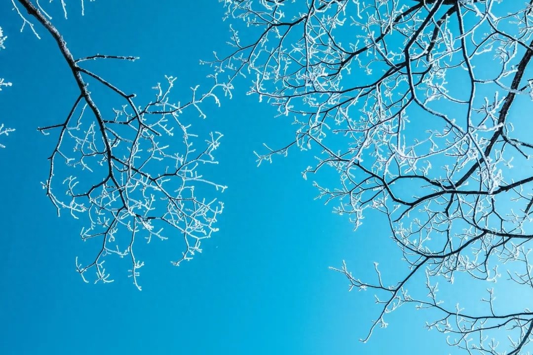 小学生必背的咏雪诗词古句（8首咏雪诗词）