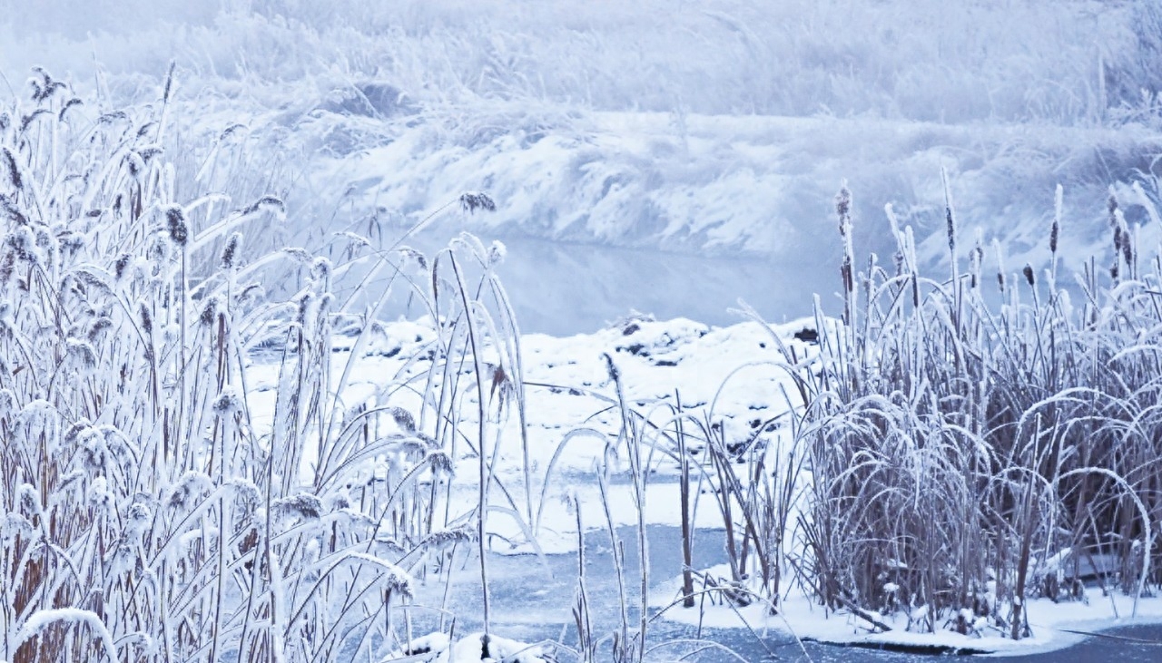 小雪的唯美古诗名句（晚来天欲雪，能饮一杯无）