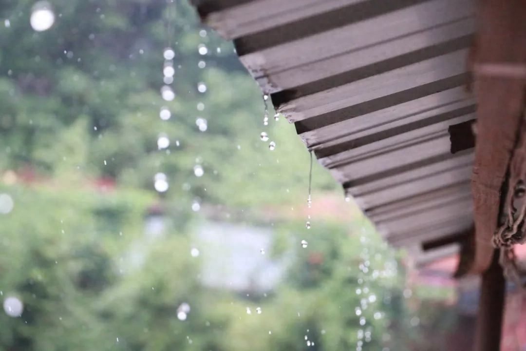 秋雨经典诗词大全（秋雨绵绵情意浓浓的古诗）