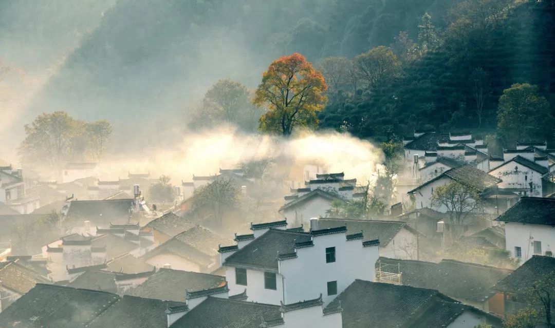 山水田园，诗情画意（九首村居诗词）