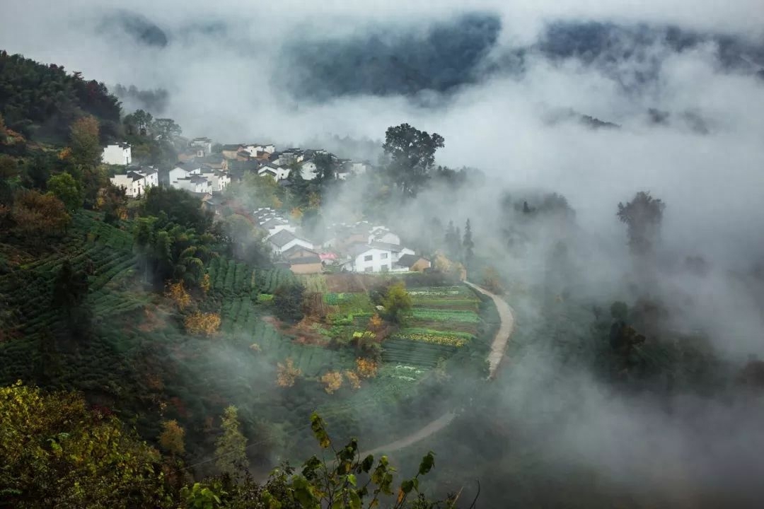 山水田园，诗情画意（九首村居诗词）