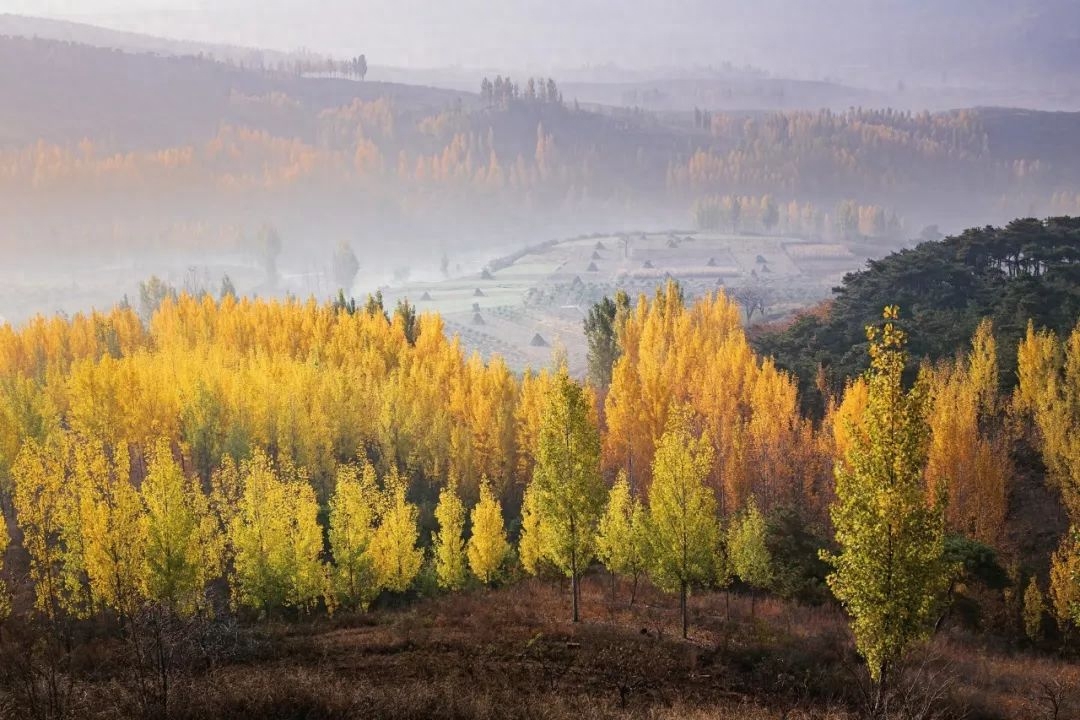 岁月匆匆去，倏然又惊秋（七首立秋诗词）