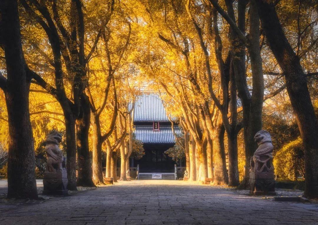 岁月匆匆去，倏然又惊秋（七首立秋诗词）