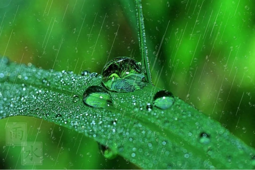 静听雨打窗台，我等一人归来（缠绵的4首落雨诗词）