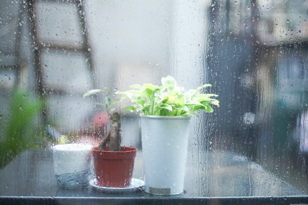 静听雨打窗台，我等一人归来（缠绵的4首落雨诗词）