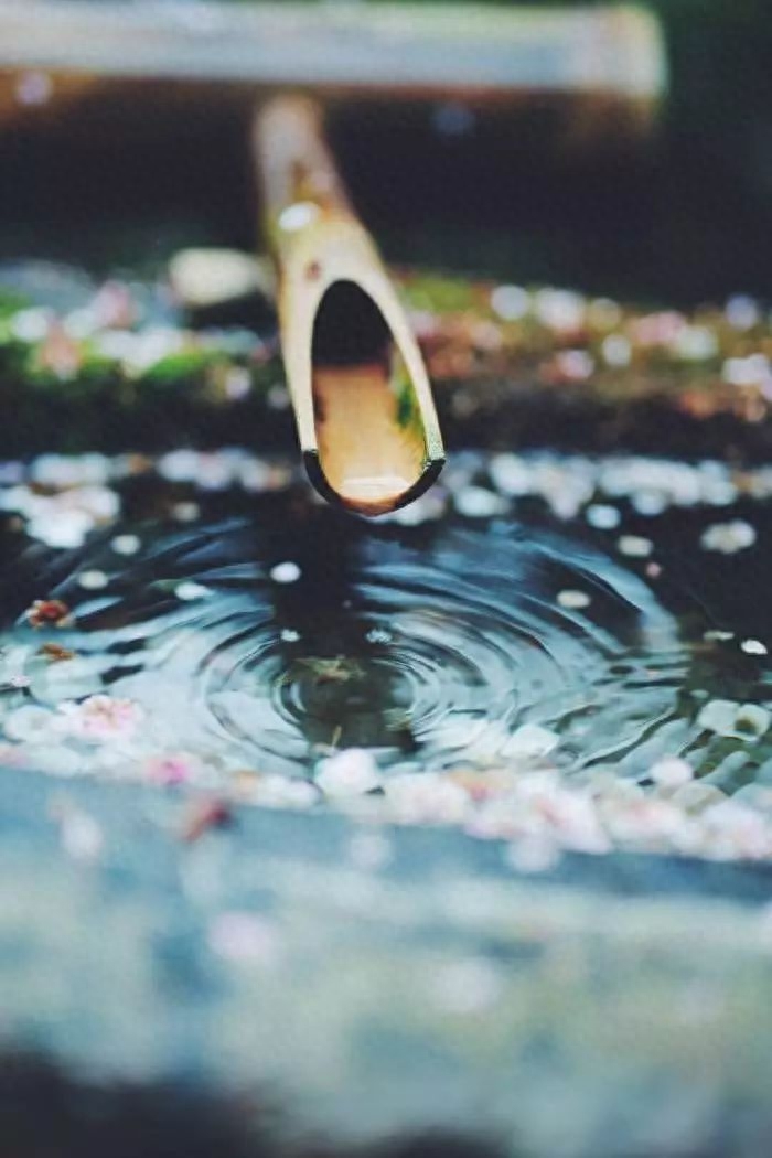 雨水诗词古句摘抄（十首唯美的雨水诗词）