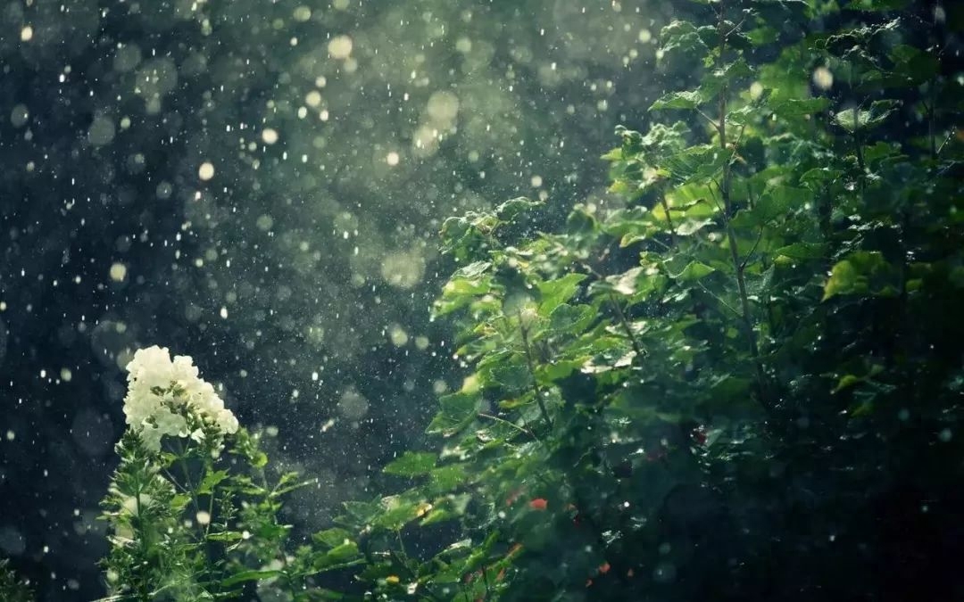 雨水诗词古句摘抄（十首唯美的雨水诗词）