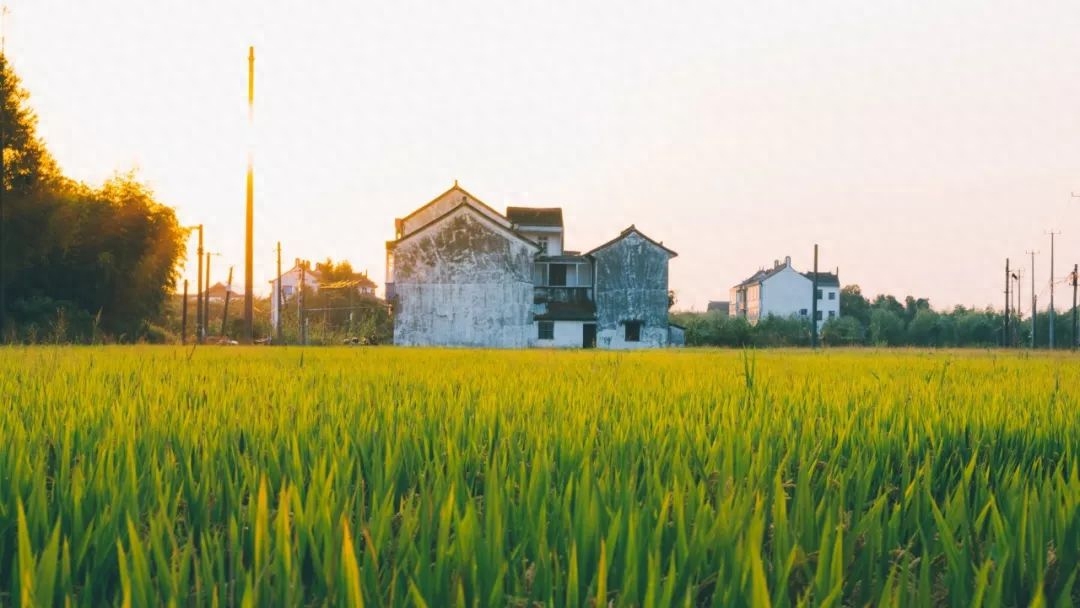 写景经典的优美诗句（分享100句写景诗词）