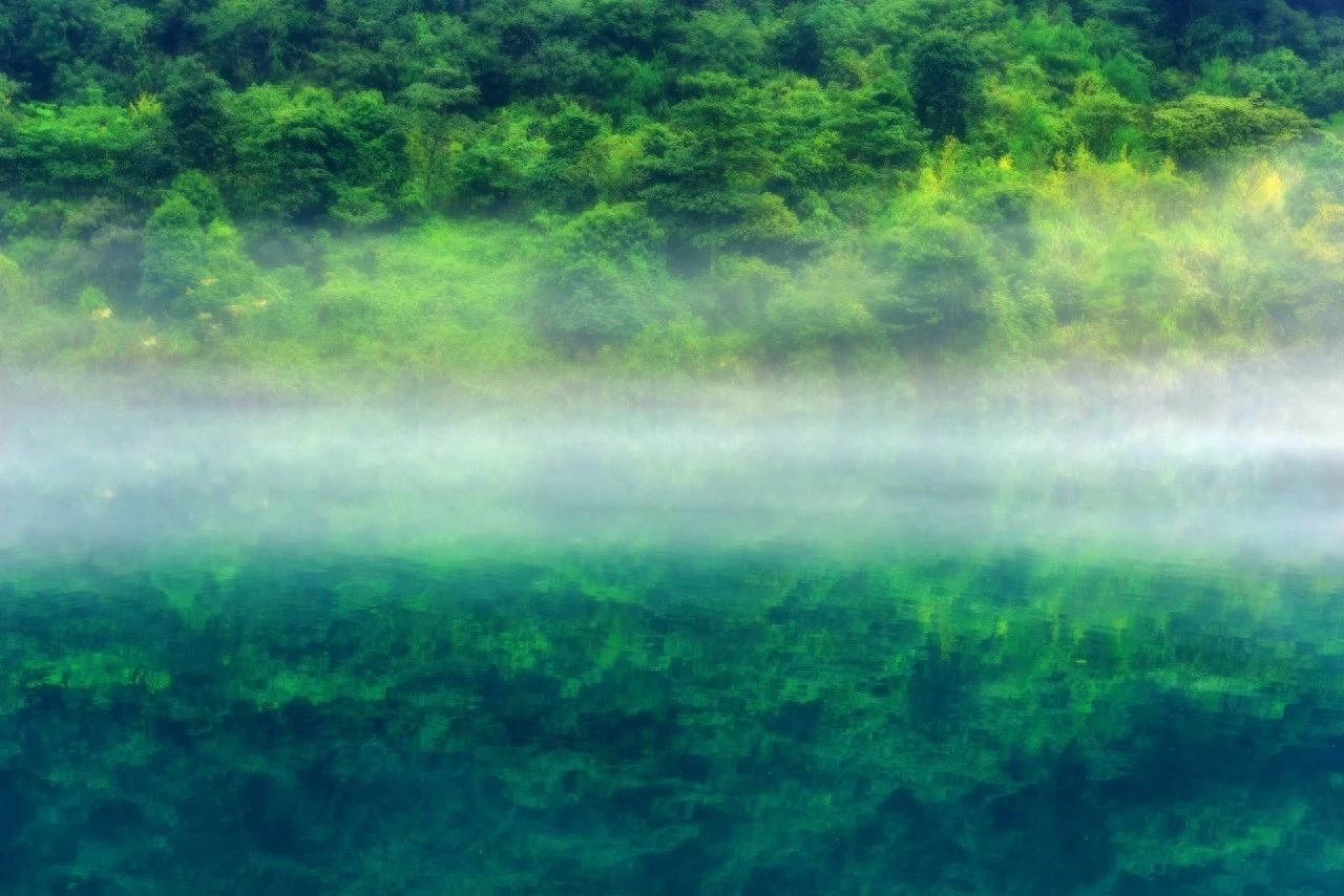 空山松子落，幽人应未眠（十首韦应物诗词）