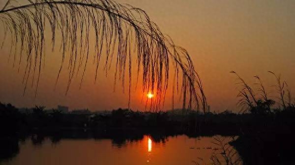 夕阳美如画，清风醉晚霞（十首唯美夕阳诗词）