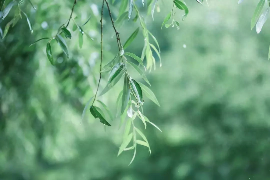 炎热夏天下雨的古诗句（十首夏雨诗词）