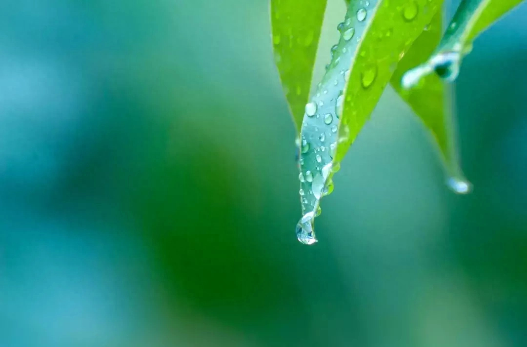 炎热夏天下雨的古诗句（十首夏雨诗词）