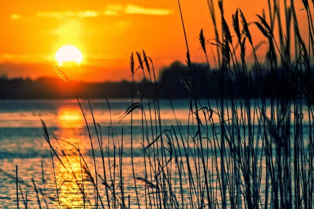 形容夕阳美好意境的古诗词（十首唯美夕阳诗词）