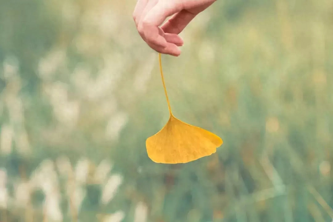 当时明月在，曾照彩云归（十首沧桑伤感诗词）