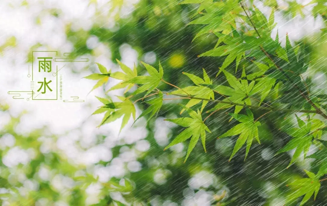 有关绝美春天诗词古句（十首春雨诗词）