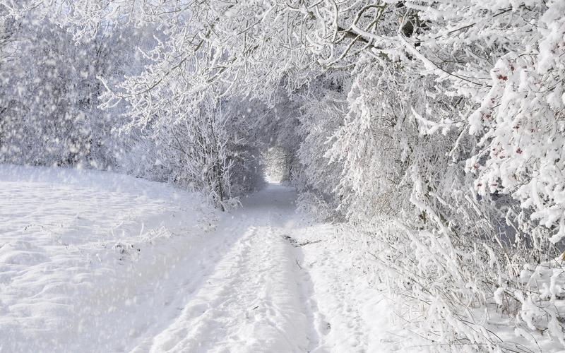 有关看看这冬天的雪景的作文怎么写（《冬雪如诗》）