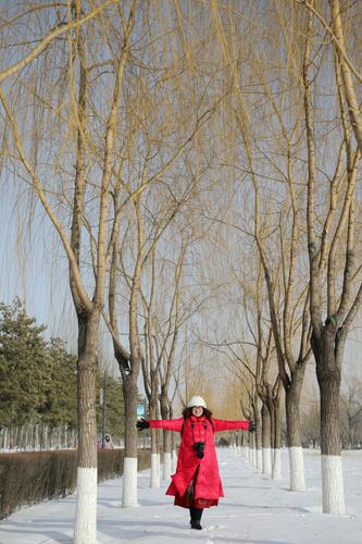 我爱冬天的雪作文500字左右（《我爱冬天的雪花——一个浪漫的冬日故事》）